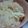 saita0518's cooksnap of when they made 絶品！基本の鯛めし.