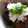 よし＊じゅり's cooksnap of when they made かぼちゃの揚げ浸し.