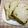 くみこ※GOPAN's cooksnap of when they made GOPAN♡レーズンくるみお米食パン♡.