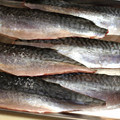 クックDAD's cooksnap of when they made 【簡単】　基本の魚のさばき方.