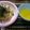 なないく's cooksnap of when they made 大葉にんにく醤油で☆ししとうの和風パスタ.