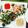 ひまはるもん's cooksnap of when they made 野菜たっぷり〜♡簡単！生春巻き.