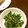 サトモユリア's cooksnap of when they made ほうれん草の胡麻和え.