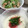 リラシャン's cooksnap of when they made 梅とろろ.
