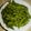 もりのりころ's cooksnap of when they made 枝豆の茹で方 (時短).