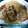 門松なめこ's cooksnap of when they made ☆子供もたべやすい！簡単 生姜焼き☆.