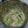 雨のちコユキ's cooksnap of when they made タコと枝豆の白和え.