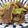 クック6GB1YK☆'s cooksnap of when they made 車麩と牛肉の炒り煮.