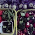 ぷーぱん's cooksnap of when they made しそ香る♪きゅうりの浅漬け.