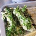 舞鶴JAMBO's cooksnap of when they made 春がきたね！菜の花の、お天ぷら♥︎.