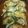 まっきー717's cooksnap of when they made 色んな野菜を入れて！れんこんのはさみ焼き.