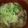 arubista's cooksnap of when they made 簡単☆肉うどん.