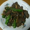 七の帝王's cooksnap of when they made 簡単!牛ハラミと茄子の炒め物.