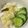 ちぇんばあ's cooksnap of when they made 野菜の浅漬け♪.