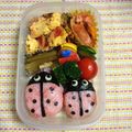 ひめポ's cooksnap of when they made キャラ弁★てんとうむし☆おにぎり★.