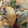 よーやん！'s cooksnap of when they made 簡単♪かぶと豚のあっさり塩炒め.