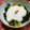 もりはん's cooksnap of when they made 野沢菜漬けに、わさびとろろとエゴマ油。.