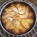 クッキングミチコ's cooksnap of when they made 簡単リンゴケーキ.