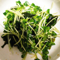 えーりー21's cooksnap of when they made かいわれ大根とわかめの中華風和え物.