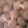 k486y2562's cooksnap of when they made バレンタインにも！スノークッキー.