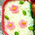 ma___111's cooksnap of when they made 幼稚園のお弁当♪梅の花ご飯✾.