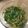 ☆まーこにゃん☆'s cooksnap of when they made シャキシャキ水菜と根菜の胡麻酢サラダ.