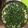 yaokiyaoki's cooksnap of when they made 寄せ豆腐で代用☆ゆしどうふ風みそ汁.