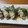 miyuki12's cooksnap of when they made あっさり豚肉巻き 簡単.