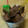 ayumi♡t's cooksnap of when they made 簡単本格生チョコ.