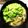 ☆ちょこもこ☆'s cooksnap of when they made 絶対ッ!!　『塩鍋』.
