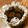 月見なっとう's cooksnap of when they made ほうじ茶の生チョコ.