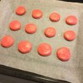 クックTZ1HSV☆'s cooksnap of when they made マカロン.