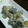 のぼし～'s cooksnap of when they made 牡蠣の唐揚げ.