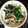こん☆にゃく's cooksnap of when they made ほうれん草のおろしジャコ和え☆.