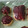 azu_enjoy's cooksnap of when they made 誰でも簡単！エクレア♪.