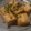 にゃあ７７７'s cooksnap of when they made 簡単！5分お弁当の一品に厚揚げポン酢焼き.