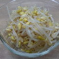 マップップ's cooksnap of when they made 簡単・基本のもやしナムル.