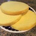 ぶ〜こ♡'s cooksnap of when they made 何枚でも厚さ均一！スポンジスライスの裏技.