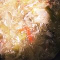 misakata's cooksnap of when they made 残り野菜deサンラータン.
