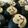 クックSZWOK3☆'s cooksnap of when they made チョコカスタードのさるパン.