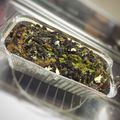 megul's cooksnap of when they made 抹茶オレオパウンドケーキ.