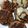 chaco719's cooksnap of when they made 簡単！椎茸の肉詰め！.