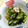 さるちゃん's cooksnap of when they made 簡単★田舎のきゅうりなます.