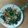 ☆RYOMAM☆'s cooksnap of when they made ちぢみほうれん草のツナ炒め.