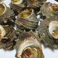 クックGTAPV6☆'s cooksnap of when they made *＊我が家のサザエのつぼ焼き＊*.