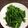 クック0L23YC☆'s cooksnap of when they made さっぱり！小松菜の辛子おひたし.