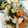fwci's cooksnap of when they made 無添加！安心！やさしい味！和風ピクルス！.