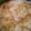 クックWSEP1S☆'s cooksnap of when they made 白菜とツナの簡単とろとろスープ.