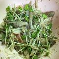 purin☆☆'s cooksnap of when they made カニカマ入り♪貝割れと舞茸の胡麻ポン和え.