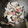 クックTW1J61☆'s cooksnap of when they made エリンギとマイタケの塩バター炒め.
